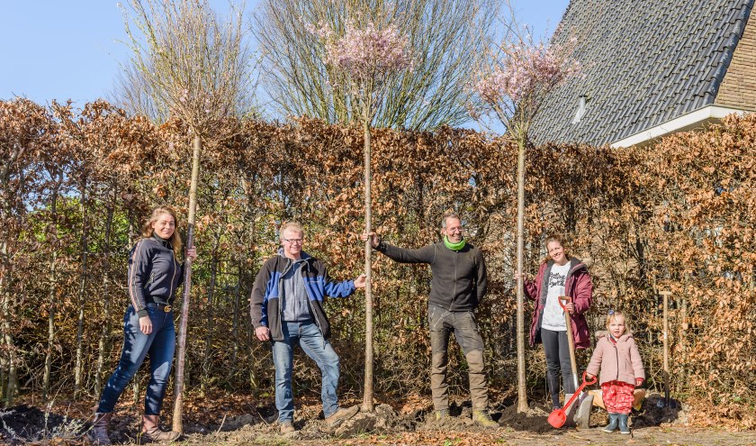 De bomen zijn geplant.