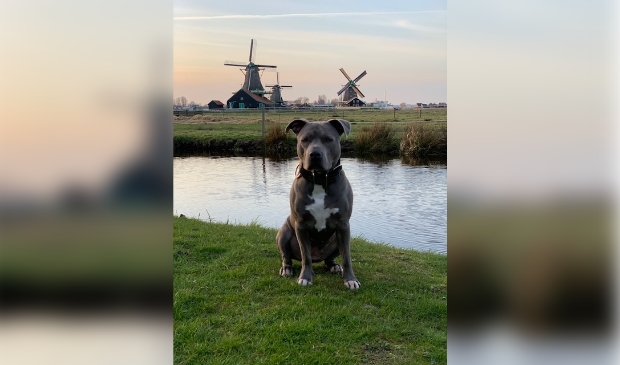 Even poseren voor de foto? Natuurlijk doen we dat baasje!
