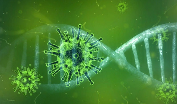 Het Coronavirus.