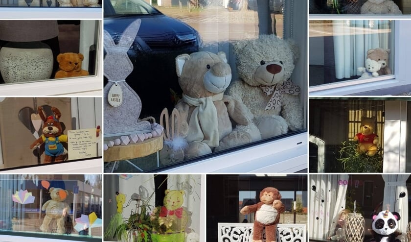 Een collage van beren die gespot zijn ....