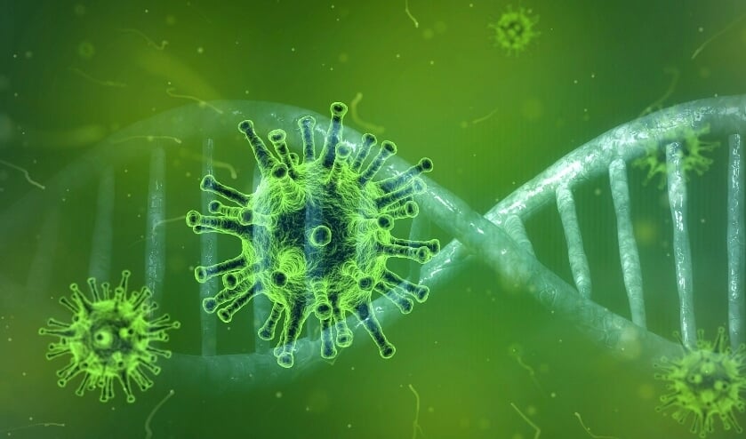Een 86-jarige inwoner van Waterland is overleden aan de gevolgen van het coronavirus. 