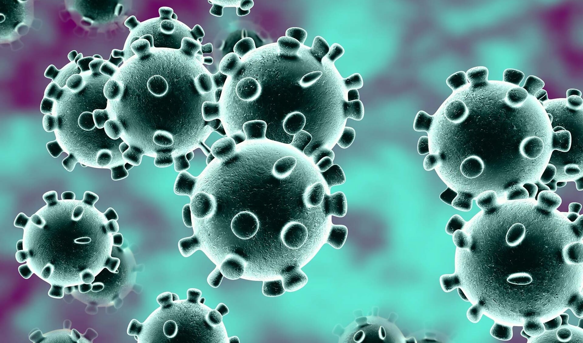 Elke dag raken mensen besmet met het coronavirus.