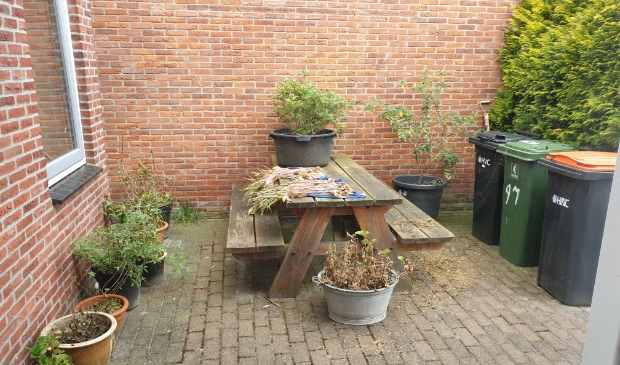 Uitzicht op ons picknickplekje thuis.