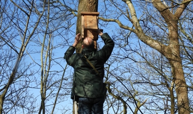 Donderdag 2 april zijn de eerste negen kasten door Jan Boshamer in het bos van Eendenkooi ’t Zand vervangen.