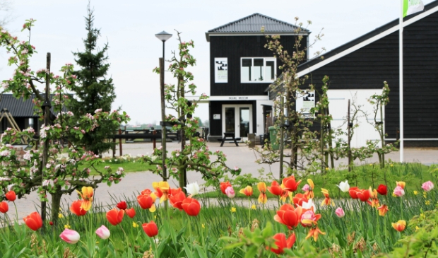De natuur gaat zijn gangetje rond het Rundveemuseum in Aartswoud.