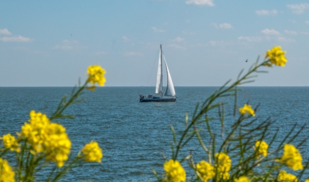 <p>Ruimte zoeken op het IJsselmeer. Zijn straks nog wel grote zeilwedstrijden mogelijk op het IJsselmeer, zoals de 24 Uurs?</p>