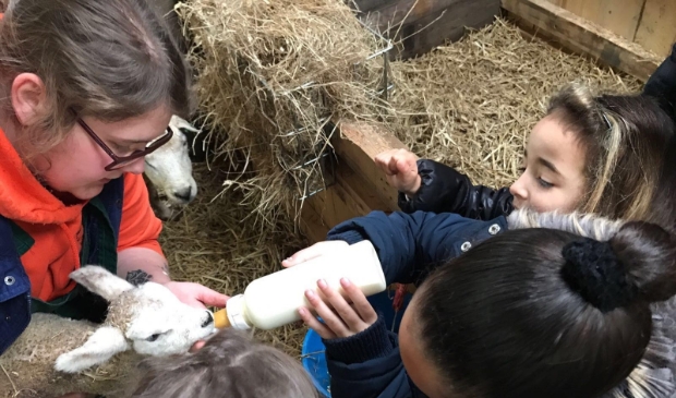 Een beleving voor zowel de kinderen als de dieren. (Foto: Roland Hoogendonk)