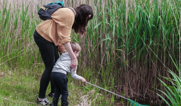 Onderweg kunnen bezoekers waterbeestjes vangen.