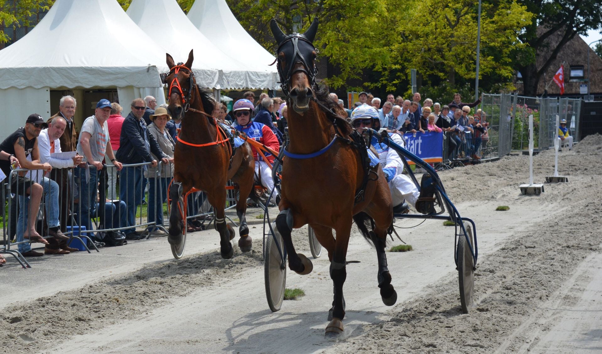 Online paardenkoers zondag 31 mei in plaats van kortebaan Venhuizen.