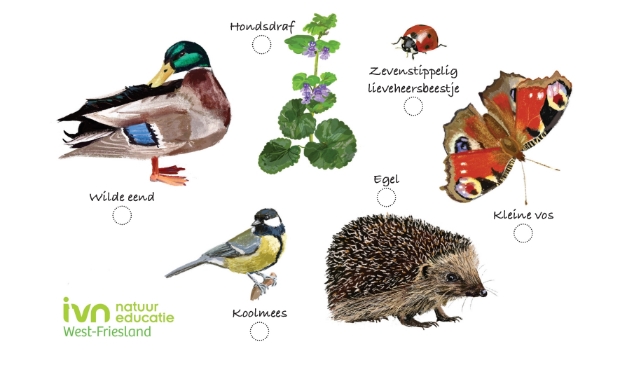Voorbeeld van een natuur-vindkaart.