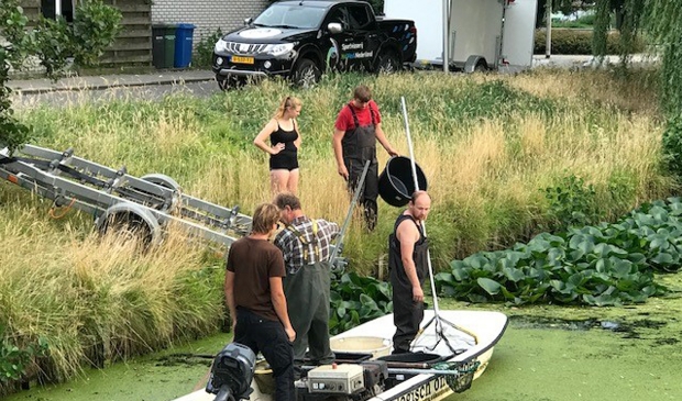 Vrijwillige sportvissers komen in actie om vissen in nood te redden.