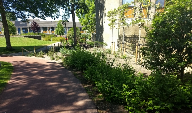 Gemeente Schagen helpt samen met inwoners de bijen- en vlinderpopulatie