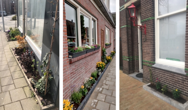 Voorbeelden van mini-tuintjes.