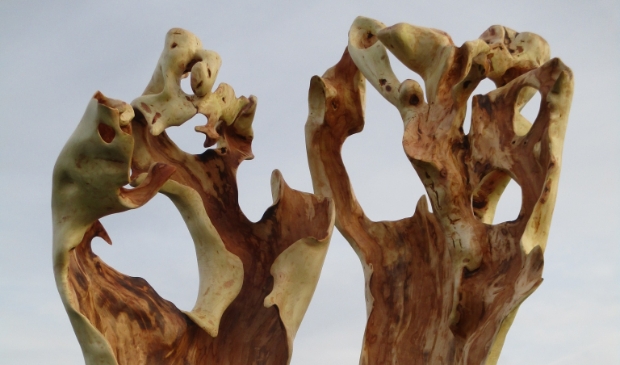 Jos Apeldoorn houtsculptuur knotwilg