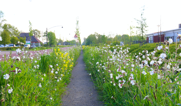 Groen in de omgeving Heerhugowaard.