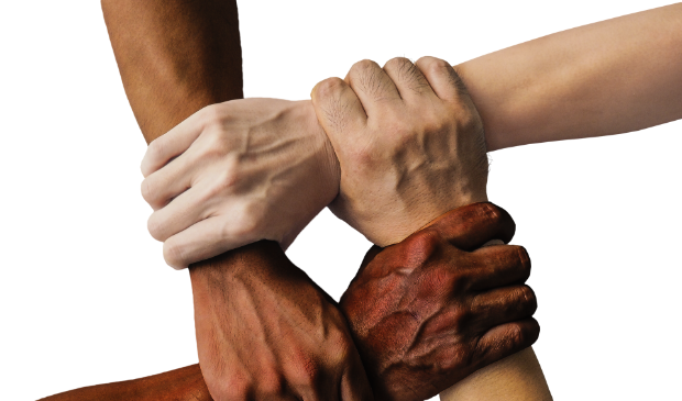 Diversiteit in beeld.