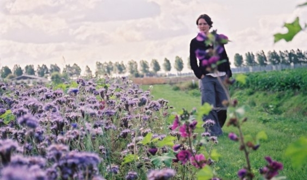 Het coulisselandschap op het platteland wordt in stand gehouden door gemotiveerde agrariërs.