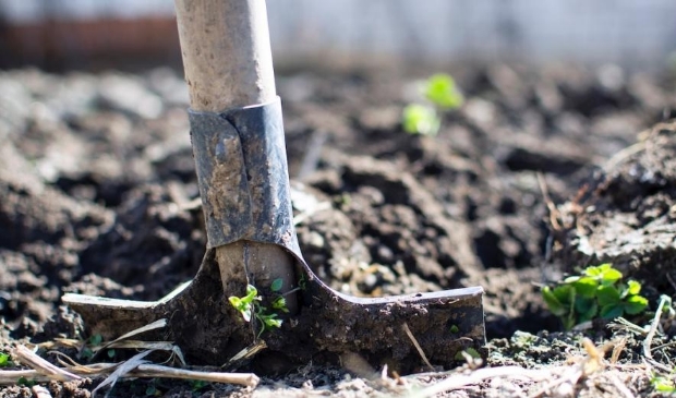 <p>Wie helpt een handje in de tuin?</p>