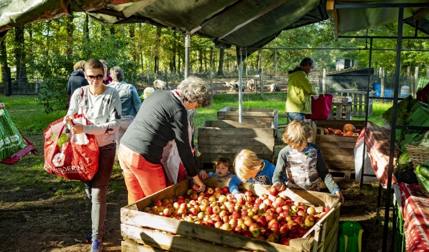 De wekelijkse uitlevering van groente en fruit.
