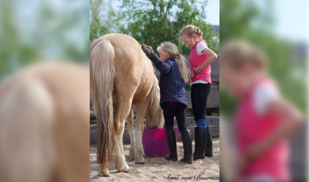 Kinderen en paarden/pony's: een gouden combinatie.