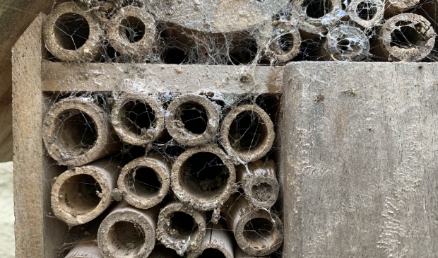Bouw een insectenhotel.