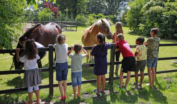 De kinderen hebben veel interactie met de paarden op de woonboerderij.