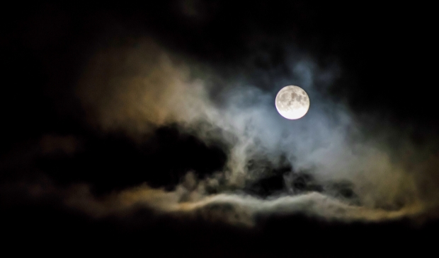 Ga met de gidsen van Staatsbosbeheer en Metius mee op pad voor een nachtelijke wandeling bij volle maan