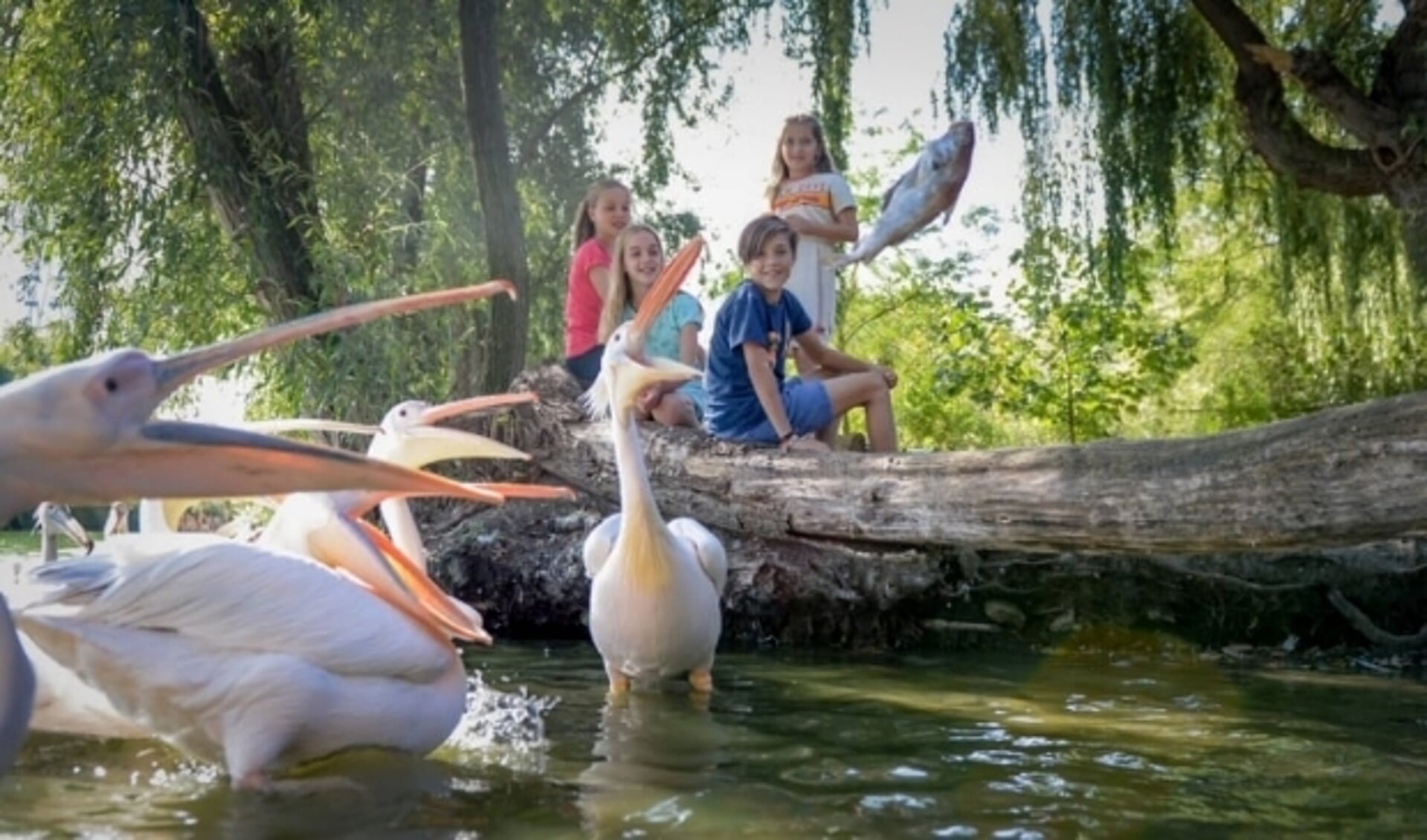 Een bezoek naar Avifauna stond ook op de planning. Foto: PR