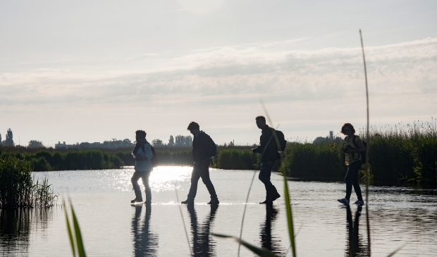 Het Guisveld kent vele geheimen, zoals wandelen over water...