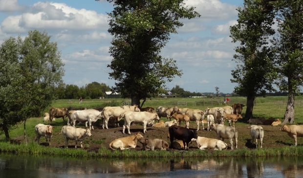 <p>De anderhalve meter afstand gold hier niet.</p>