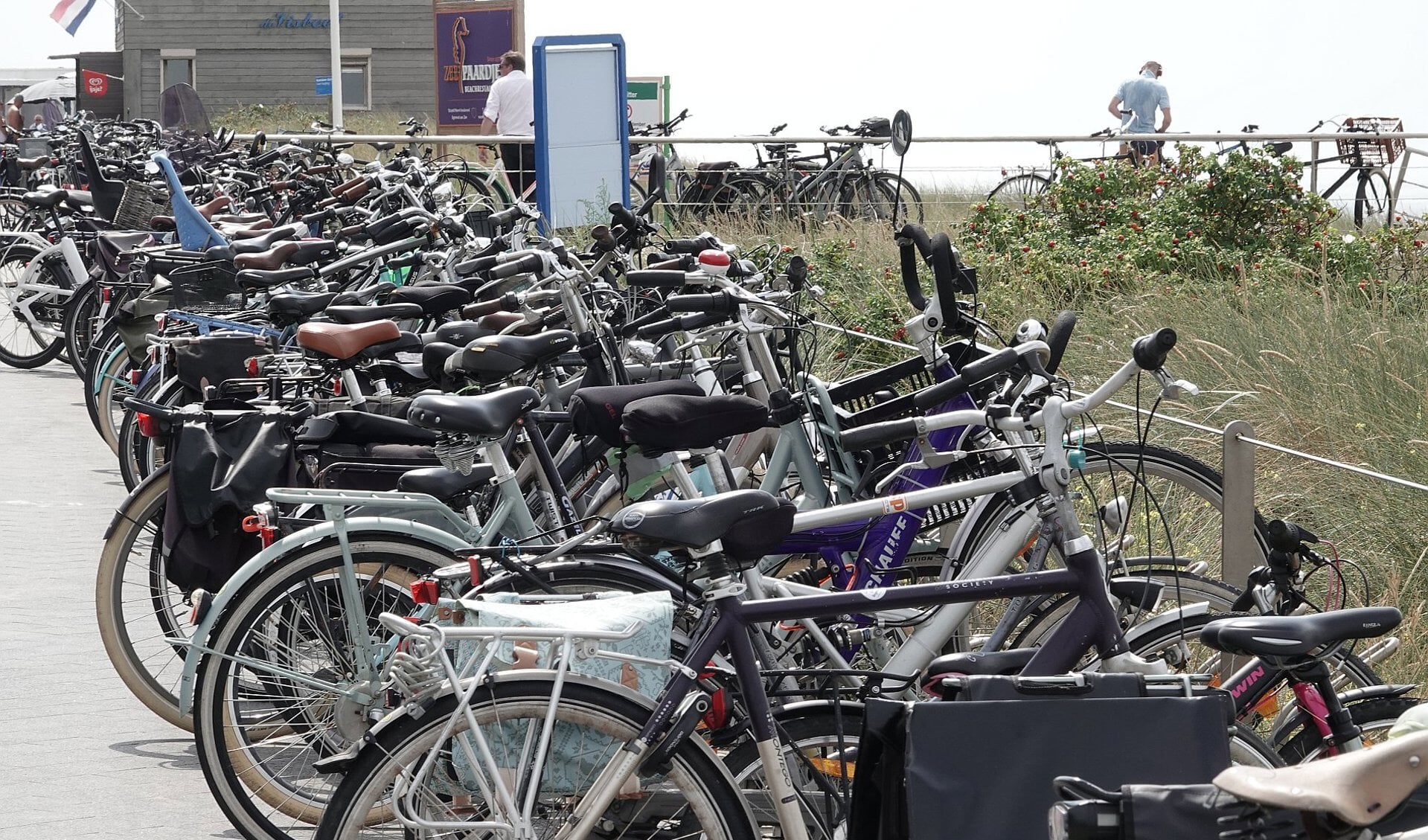 Fietsen en alleen maar fietsen.