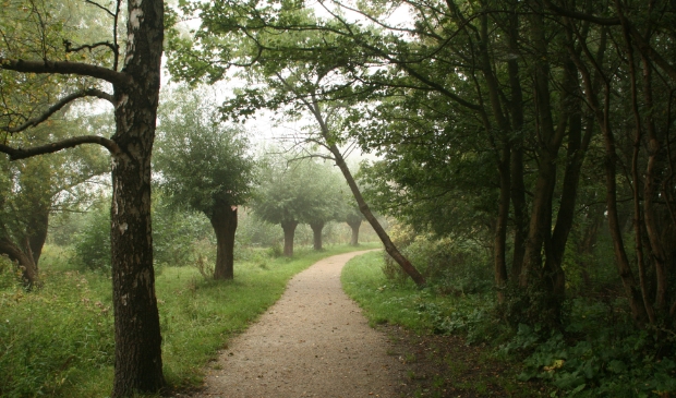 <p>Het Vijfhoekpark, groene oase in Zaandam Zuid.</p>