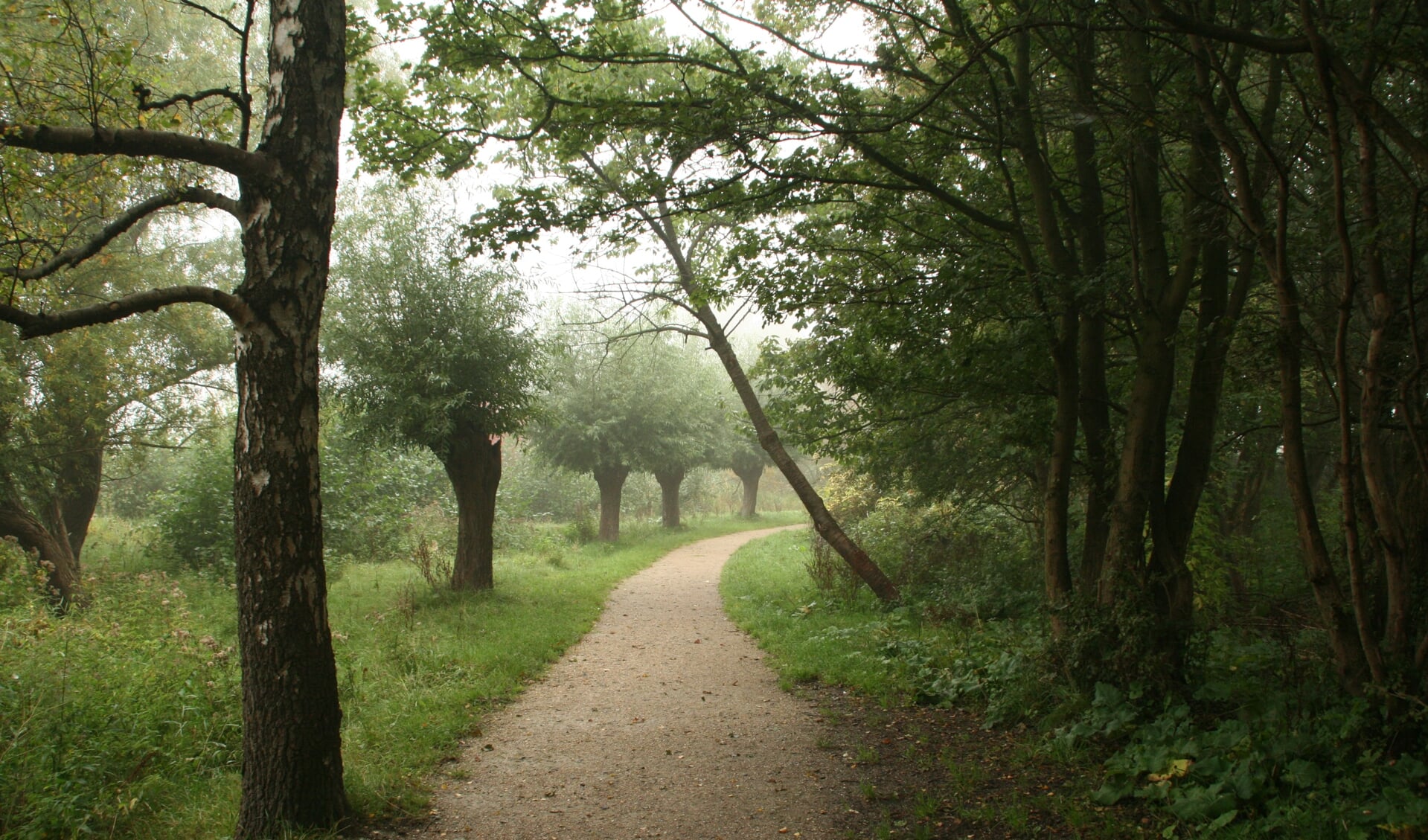 Het Vijfhoekpark, groene oase in Zaandam Zuid.