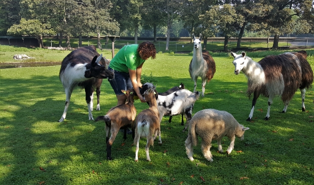<p>Dieren knuffelen met dierendag.</p>