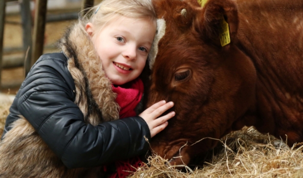<p>Kinderen houden van dieren.</p>