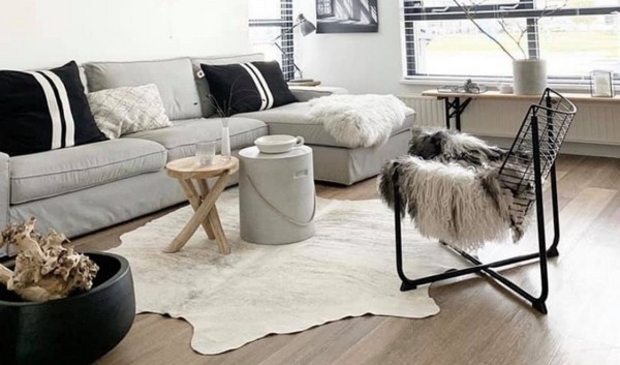 Beursaanbieding: schapen -en koeienvachten.