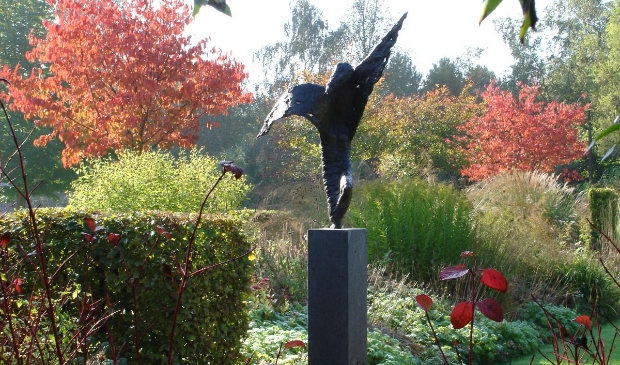 <p>De tuin van de familie Neefjes in Wervershoof.</p>