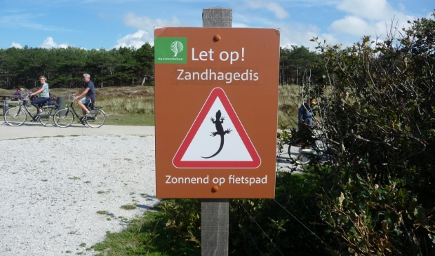 <p>Een bijzonder 'verkeersbord'</p>