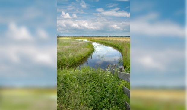 <p>Ongewenst zoekgebied voor zonnepanelen in natuurgebied langs de A9 met gewenst zoekgebied op de achtergrond</p>