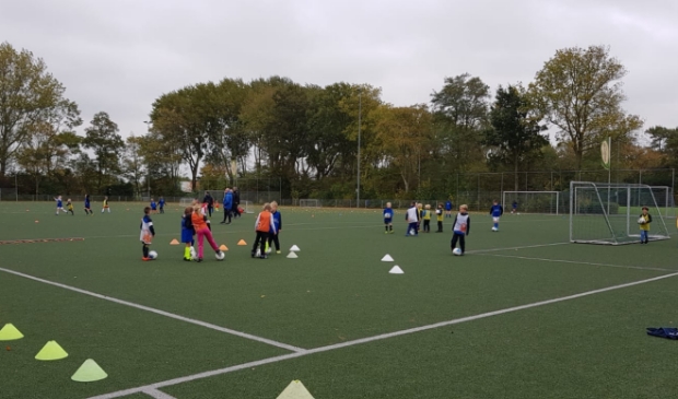 <p>Pupillen in training bij FC Castricum.</p>