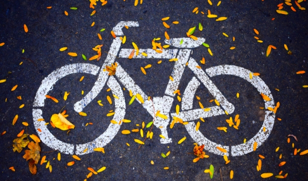<p>Niemand in Bergen, behalve het gemeentebestuur, wil dit volstrekt overbodige en schadelijke tweede fietspad</p>