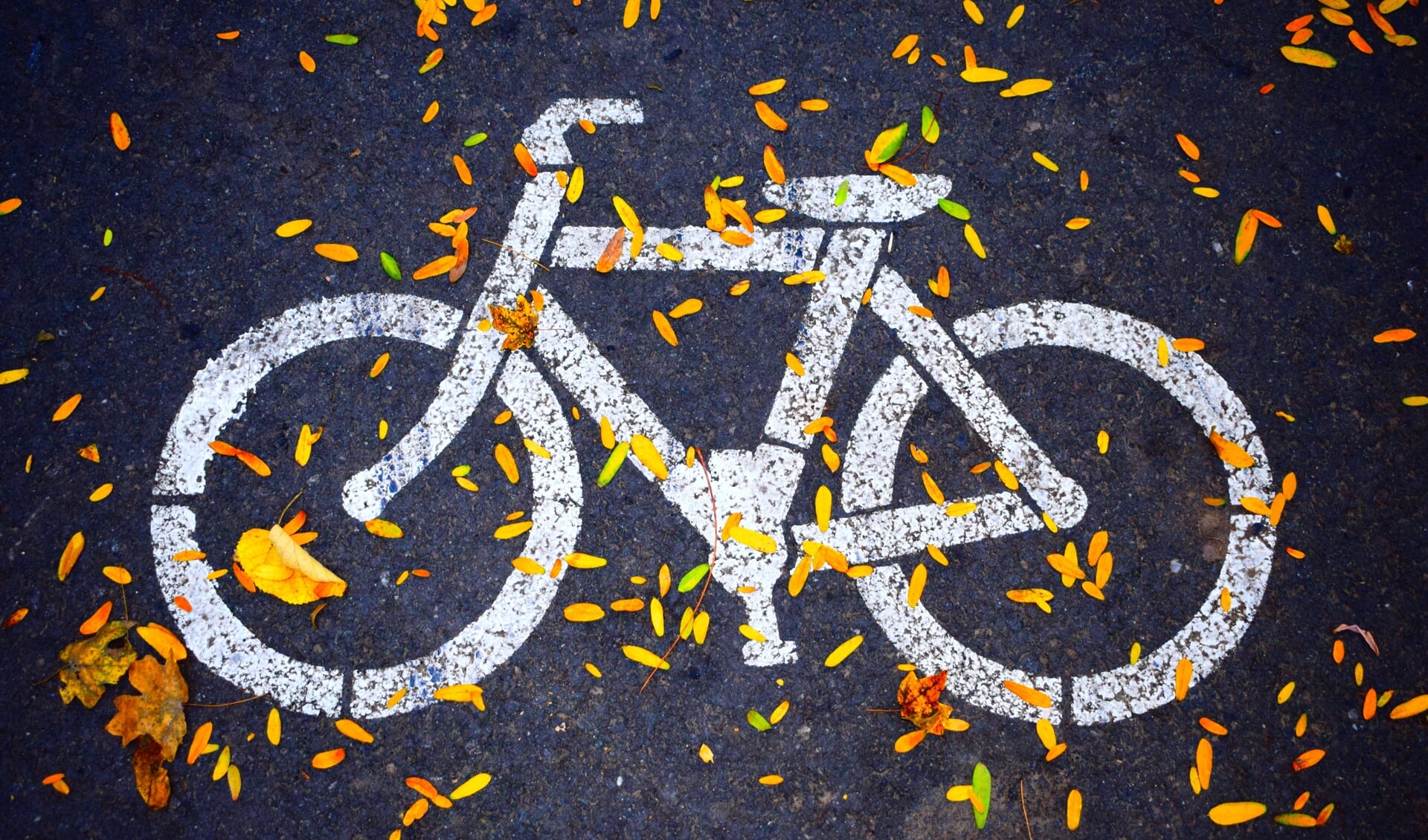Niemand in Bergen, behalve het gemeentebestuur, wil dit volstrekt overbodige en schadelijke tweede fietspad