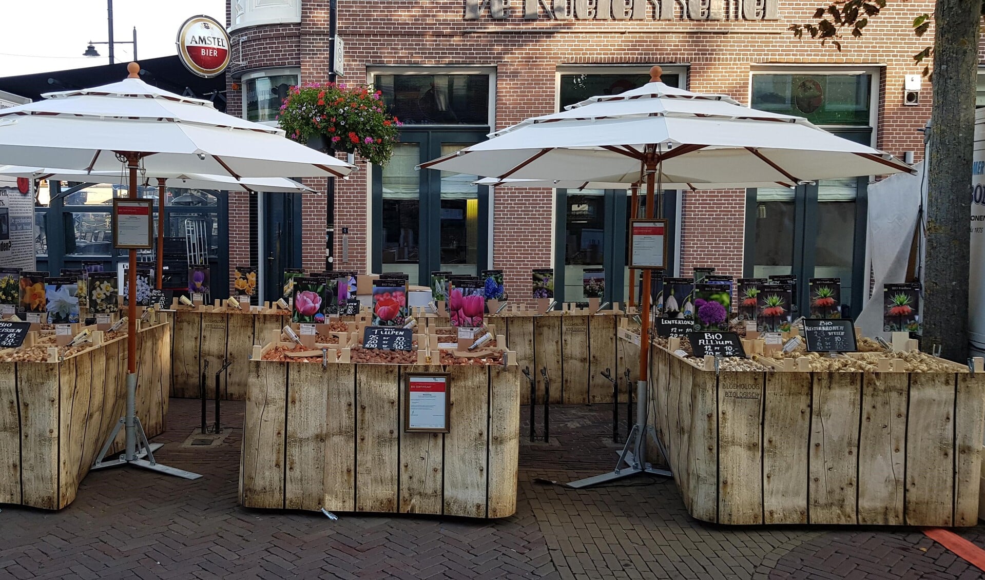 Zondag 4 oktober staan bloembollen centraal bij Hortus Alkmaar.