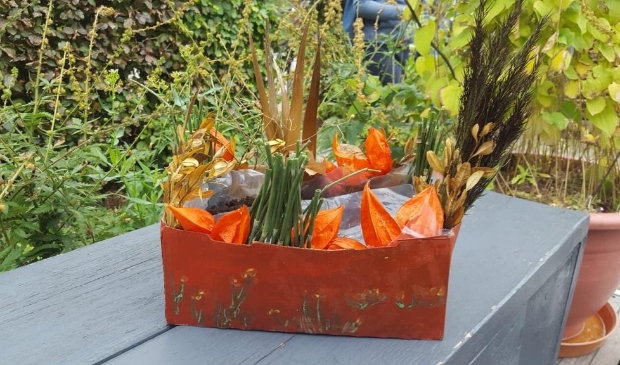 <p>Minituintje maken in Hortus Alkmaar</p>