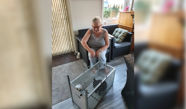 <p>Saartje is weer thuis en voelt zich na een paar dagen weer de oude.</p>
