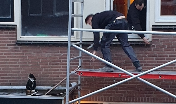 <p>Werken onder toeziend oog van Baas Kater...</p>
