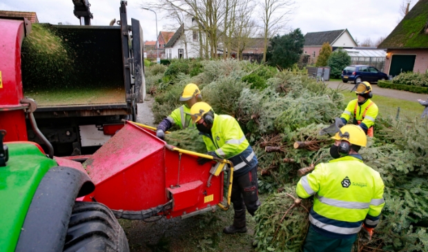 <p>De bomen gaan één voor één de versnipperaar in.</p>