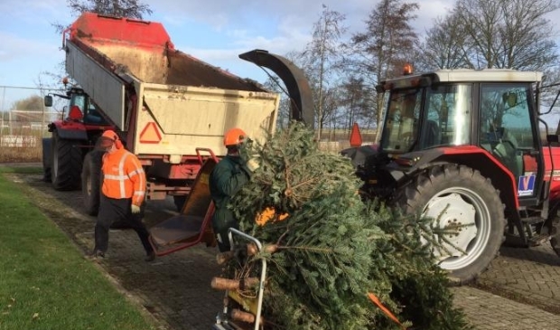 <p> De kerstbomeninzameling is dit jaar verlaat door de coronaregels.</p>