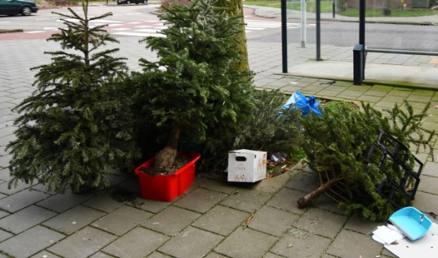 <p>Wat was hij mooi, maar nu komt de versnipperaar in zicht...</p>