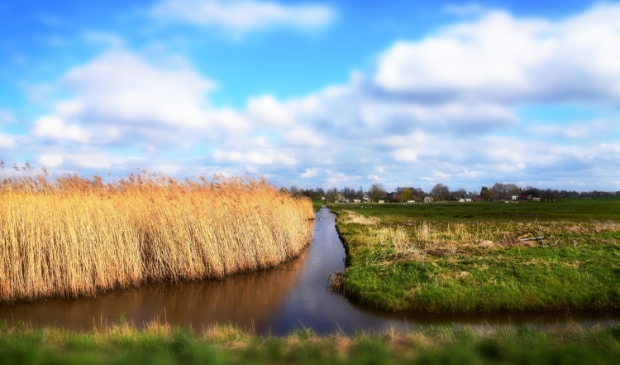 <p>Riet is buigzaam, deze flexibiliteit hebben we nodig. Houd vol iedereen!</p>